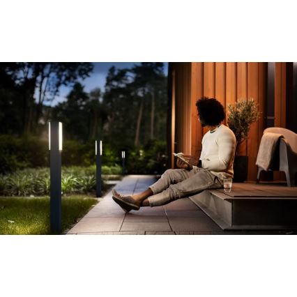 Philips - LED Āra lampa STRATOSPHERE LED/3,8W/230V 77 cm 2700K IP44