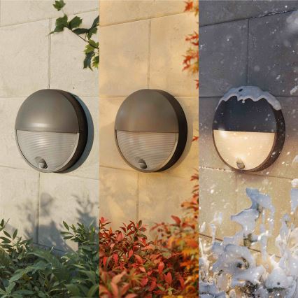 Philips - LED āra sienas gaismeklis ar sensoru CAPRICORN LED/4,3W/230V IP44