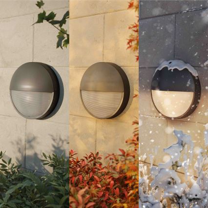 Philips - LED āra sienas gaismeklis CAPRICORN LED/4,3W/230V IP44