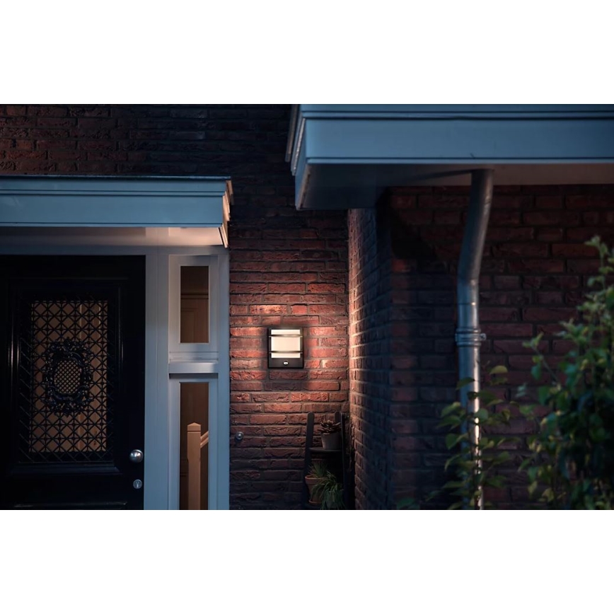 Philips - LED Āra sienas lampa ar sensoru PETRONIA LED/3,8W/230V IP44