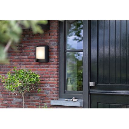 Philips - LED Āra sienas lampa ARBOUR LED/3,8W/230V 2700K IP44