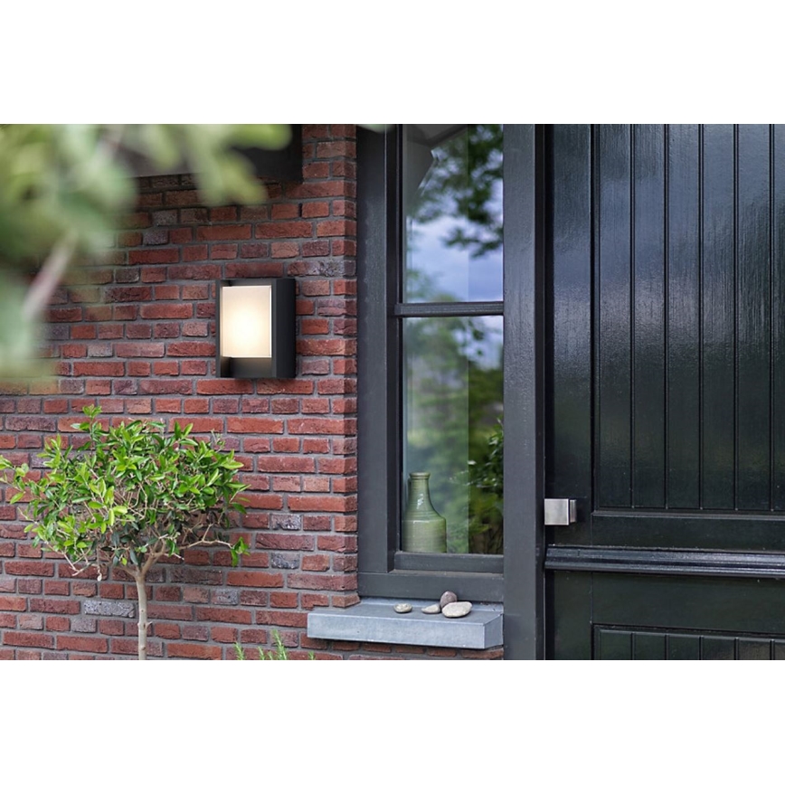 Philips - LED Āra sienas lampa ARBOUR LED/3,8W/230V 2700K IP44