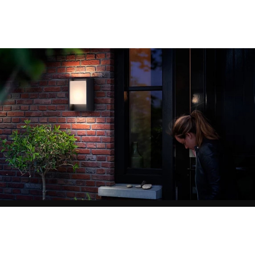 Philips - LED Āra sienas lampa ARBOUR LED/3,8W/230V 2700K IP44