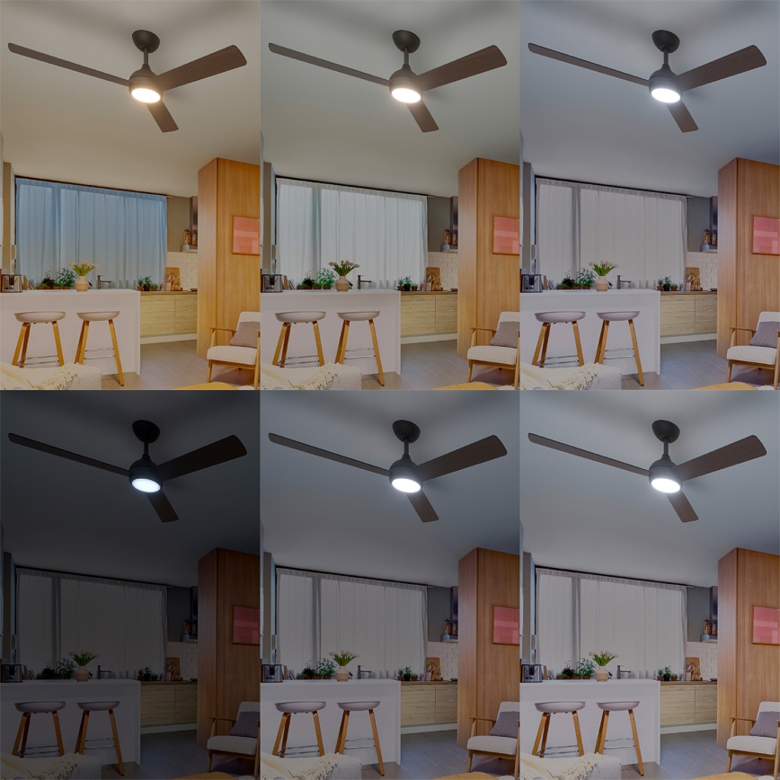 Philips - LED dimmējamais griestu ventilators CIVX LED/24W/230V + tālvadība