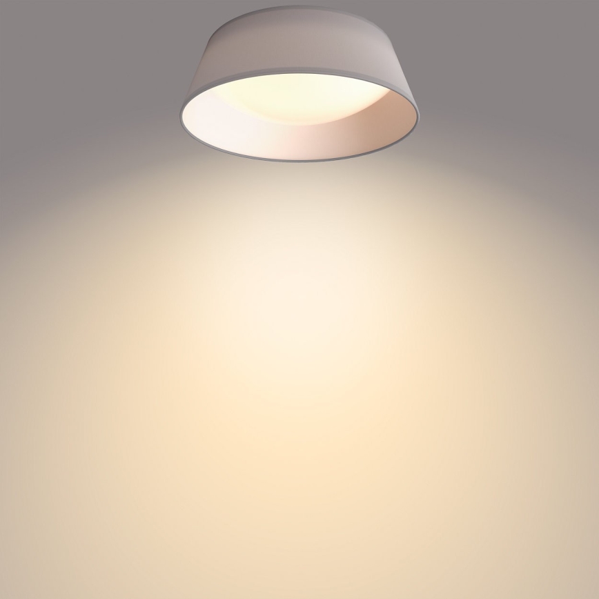 Philips - LED Griestu gaismeklis LED/14W/230V pelēks
