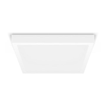 Philips - LED Griestu gaismeklis LED/20W/230V 2700K balts