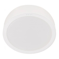 Philips - LED Griestu lampa MESON LED/24W/230V 3000K