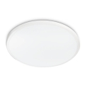 Philips - LED griestu lampa TWIRLY LED/17W/230V