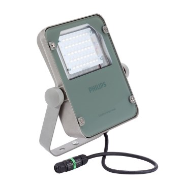 Philips - LED plūdu gaismeklis CORELINE LED/38W/230V IP65