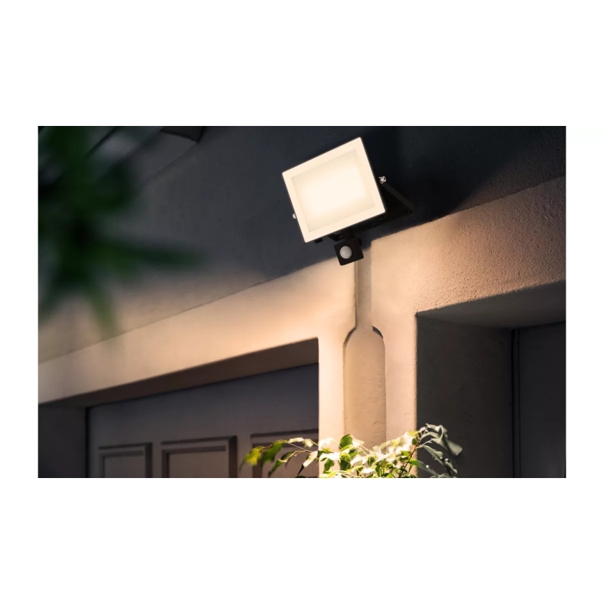 Philips - LED prožektors ar sensori LOIS LED/50W/230V IP65 3000K