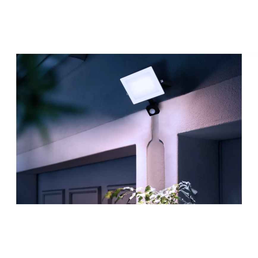 Philips - LED prožektors ar sensoru LOIS LED/30W/230V IP65 5000K