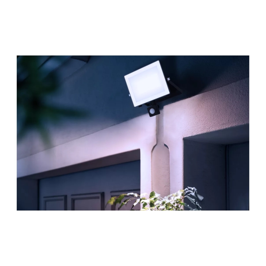 Philips - LED Prožektors ar sensoru LOIS LED/50W/230V IP65 5000K