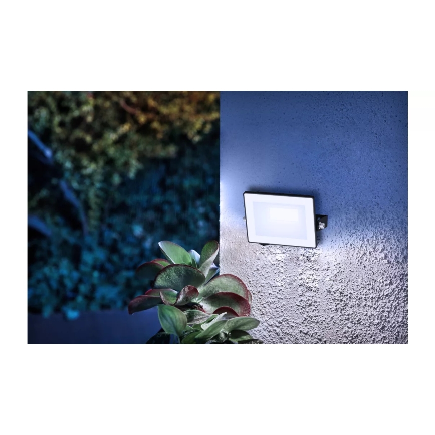 Philips - LED prožektors LOIS LED/10W/230V IP65 5000K