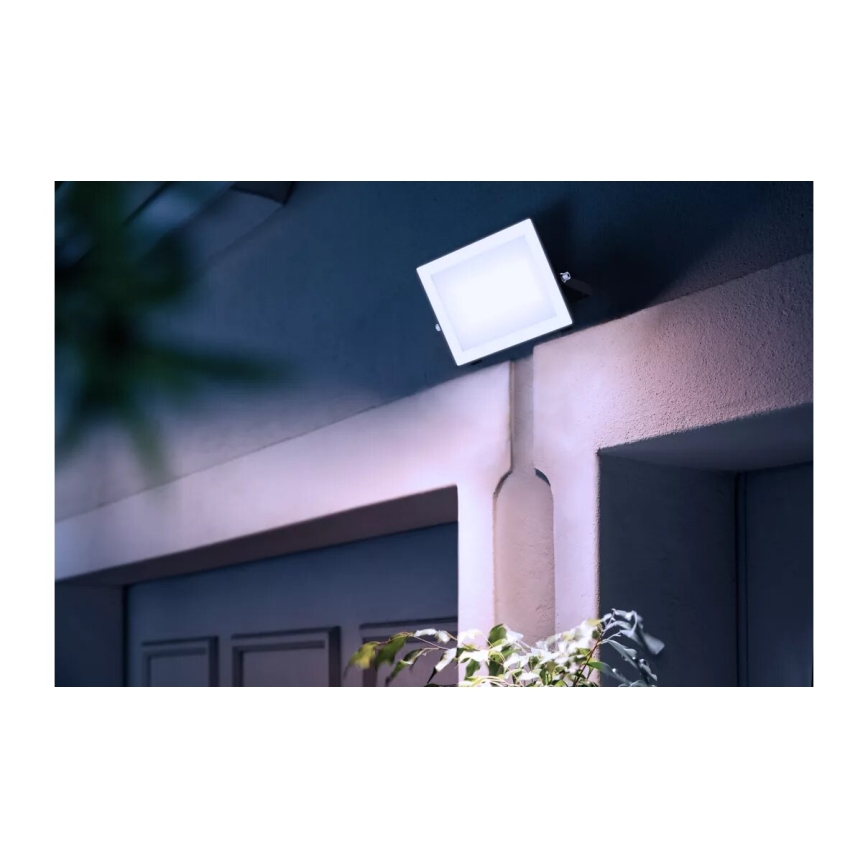 Philips - LED Prožektors LOIS LED/50W/230V IP65 5000K