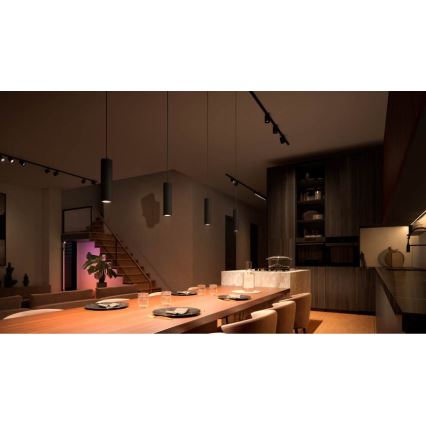 Philips - LED RGB dimmējama piekaramā lampa ar trosi Hue sliežu sistēmai PERIFO LED RGB/5,2W/24V 2000-6500K