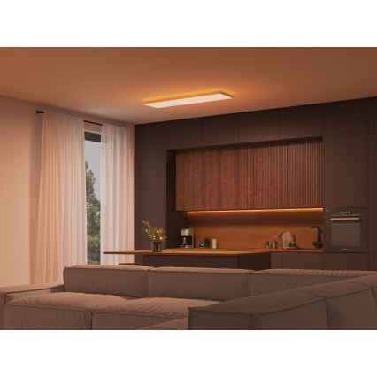 Philips - LED RGBW Aptumšojama griestu lampa Hue DATURA LED/67W/230V 2000-6500K