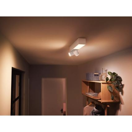 Philips - LED RGBW Aptumšojams starmetis Hue CENTRIS 2xGU10/4,2W/230V+ LED/11W