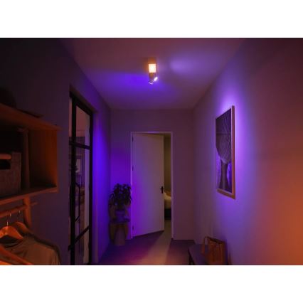 Philips - LED RGBW Aptumšojams starmetis Hue CENTRIS 2xGU10/4,2W/230V+ LED/11W