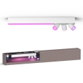 Philips - LED RGBW Aptumšojams starmetis Hue CENTRIS 3xGU10/4,2W/230V + LED/11W 2000-6500K