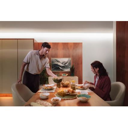 Philips - LED RGBW dimējama gaismas lente Hue FLUX 10m LED/60W/230V 2200-6500K
