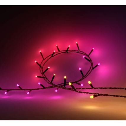 Philips - LED RGBW regulējama āra virtene HUE WHITE AND COLOR AMBIANCE 500xLED 44,4 m 2000-6500K IP54