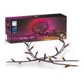 Philips - LED RGBW regulējama āra virtene HUE WHITE AND COLOR AMBIANCE 500xLED 44,4 m 2000-6500K IP54