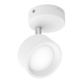 Philips - LED Starmetis LED/5,5W/230V balta