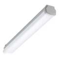 Philips - LED tehniskais gaismeklis LEDINAIRE LED/15W/230V 60 cm IP66