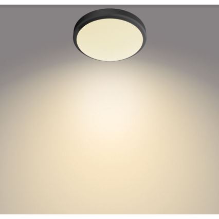 Philips - LED Vannas istabas griestu gaismeklis DORIS LED/6W/230V IP44