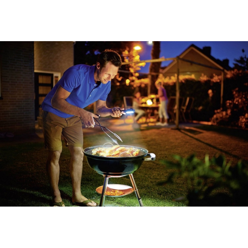 Philips LPL18B1 - LED Montējama lampa 5xLED/1,3W/3xAAA IP54
