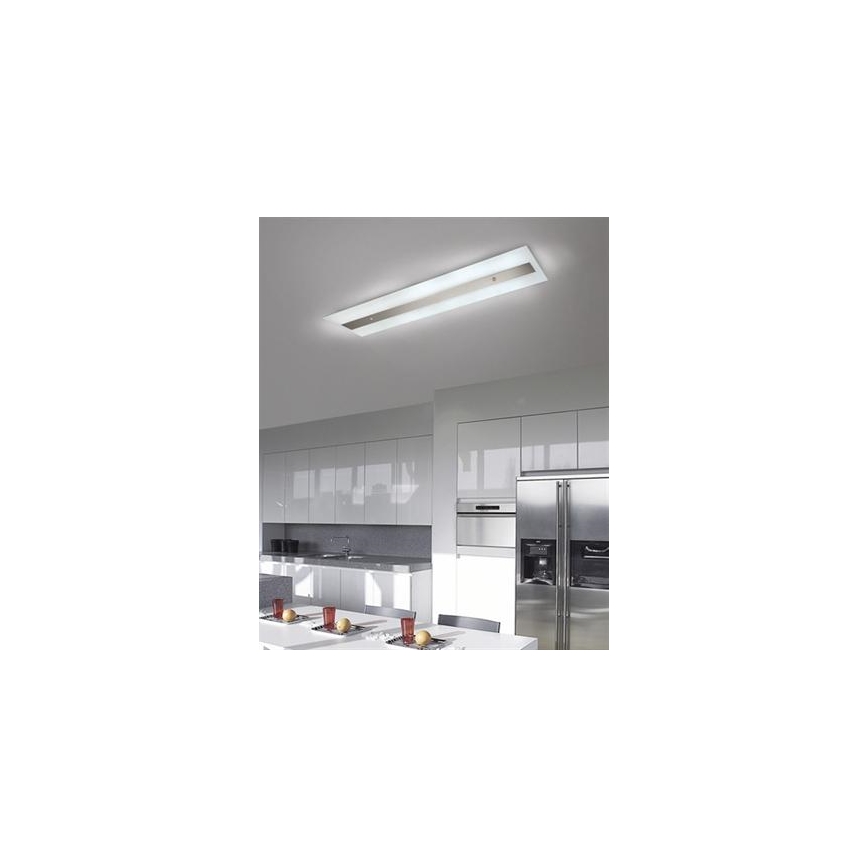 Philips Massive 85115/14/31 - Dienasgaismas lampa DECOLINE 2xG5/14W/230V