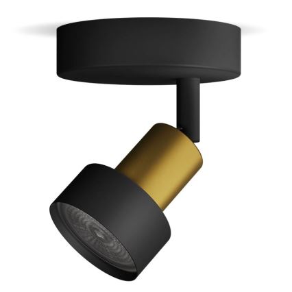 Philips - Starmetis CONDUIT 1xGU10/5W/230V melna/misiņš