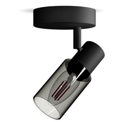 Philips - Starmetis PALMS 1xE14/25W/230V