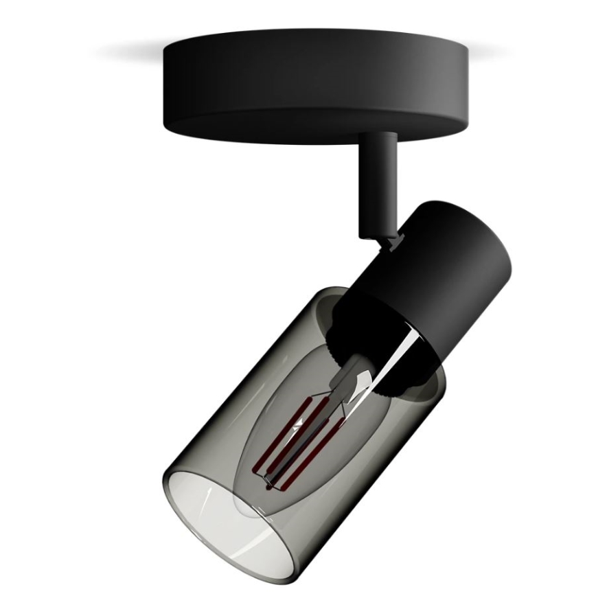 Philips - Starmetis PALMS 1xE14/25W/230V