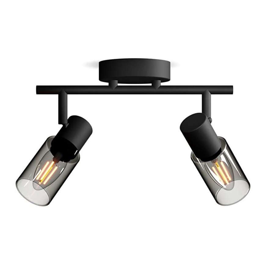 Philips - Starmetis PALMS 2xE14/25W/230V