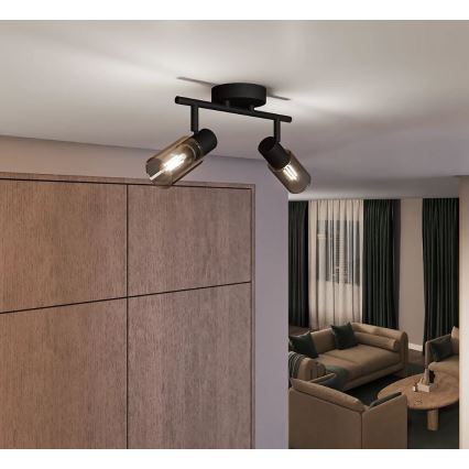 Philips - Starmetis PALMS 2xE14/25W/230V