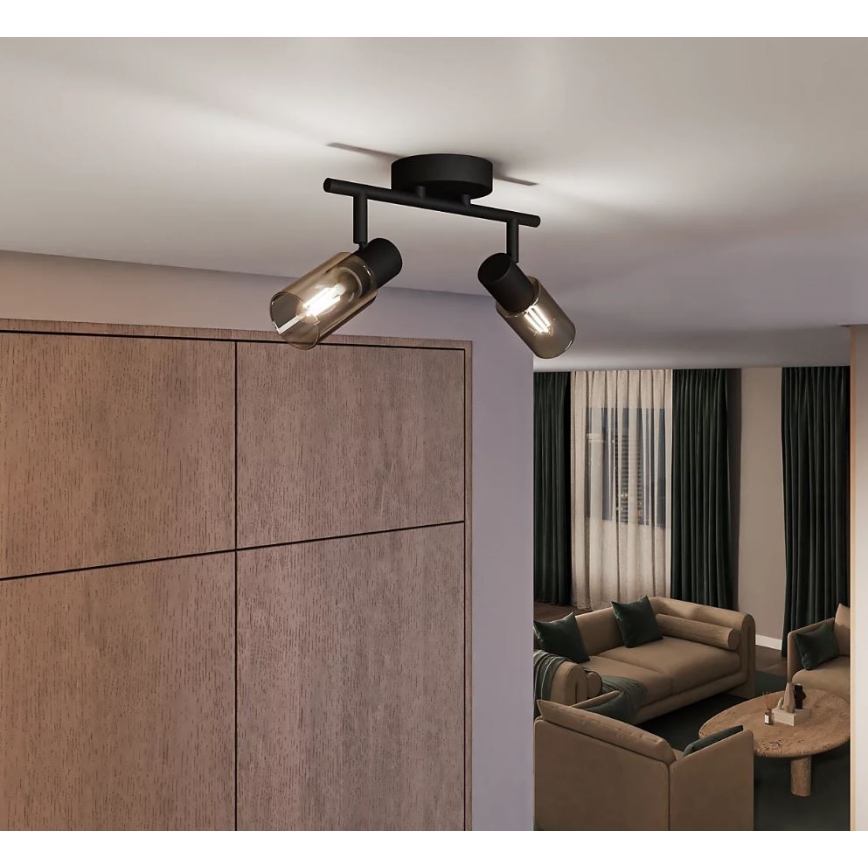 Philips - Starmetis PALMS 2xE14/25W/230V