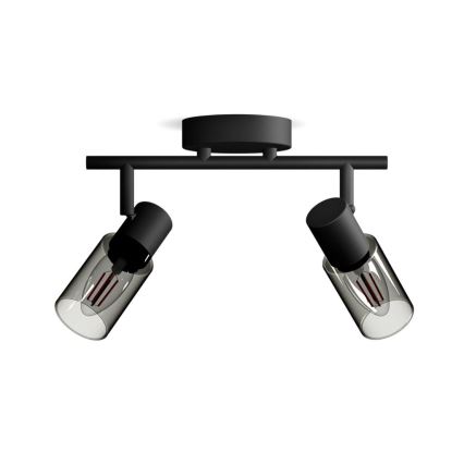 Philips - Starmetis PALMS 2xE14/25W/230V