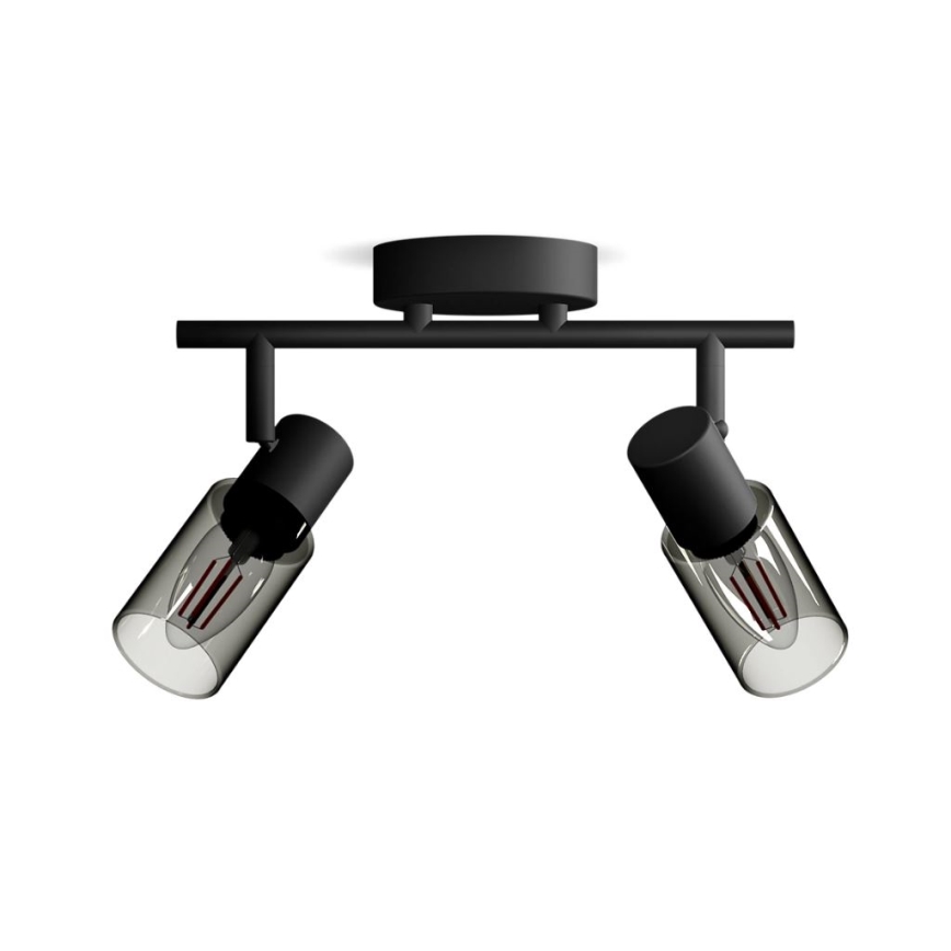 Philips - Starmetis PALMS 2xE14/25W/230V