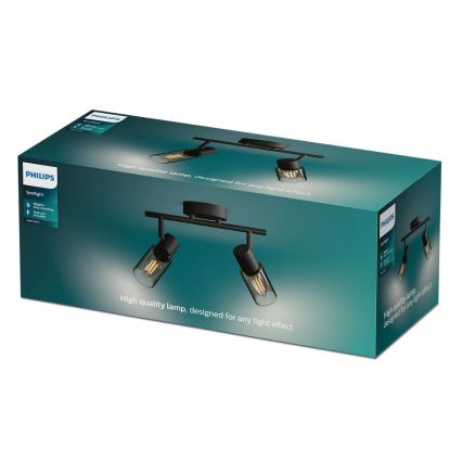 Philips - Starmetis PALMS 2xE14/25W/230V