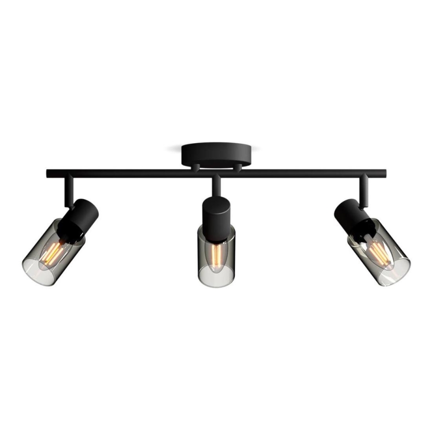 Philips - Starmetis PALMS 3xE14/25W/230V