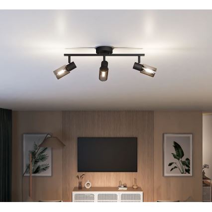 Philips - Starmetis PALMS 3xE14/25W/230V