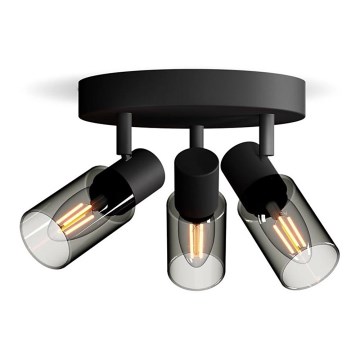 Philips - Starmetis PALMS 3xE14/25W/230V