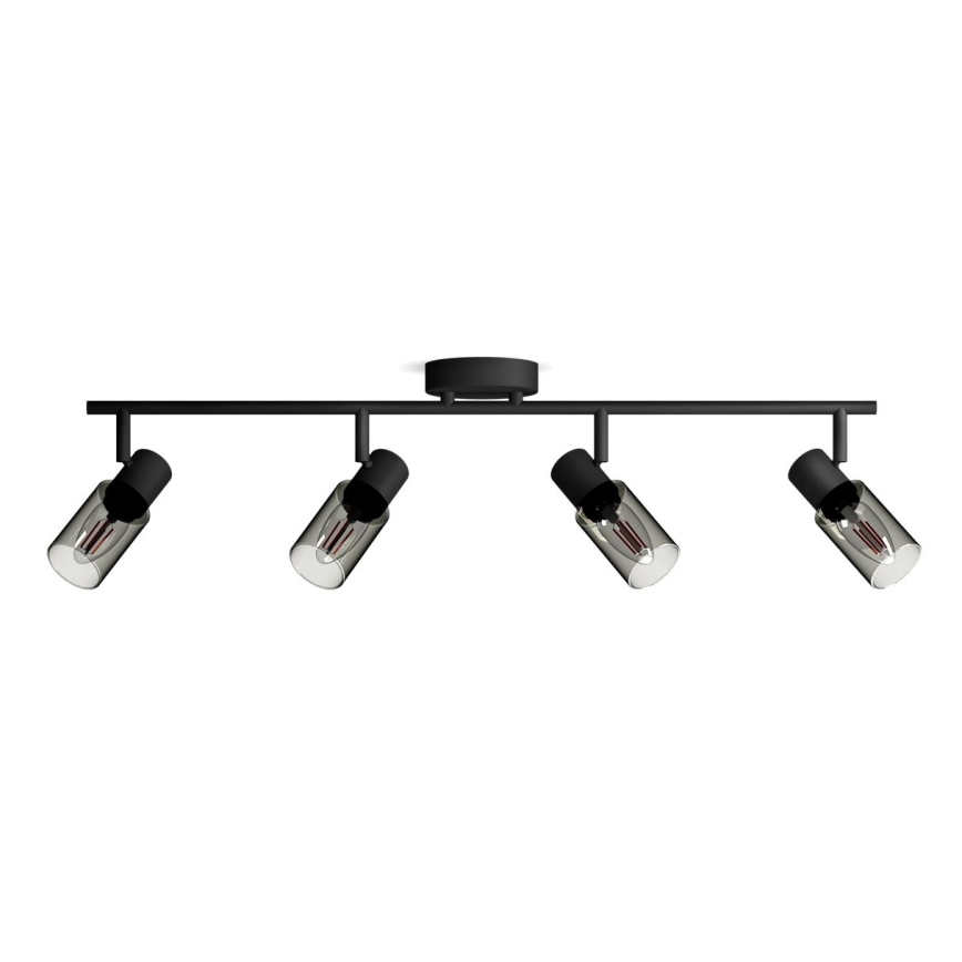 Philips - Starmetis PALMS 4xE14/25W/230V