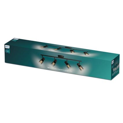 Philips - Starmetis PALMS 4xE14/25W/230V