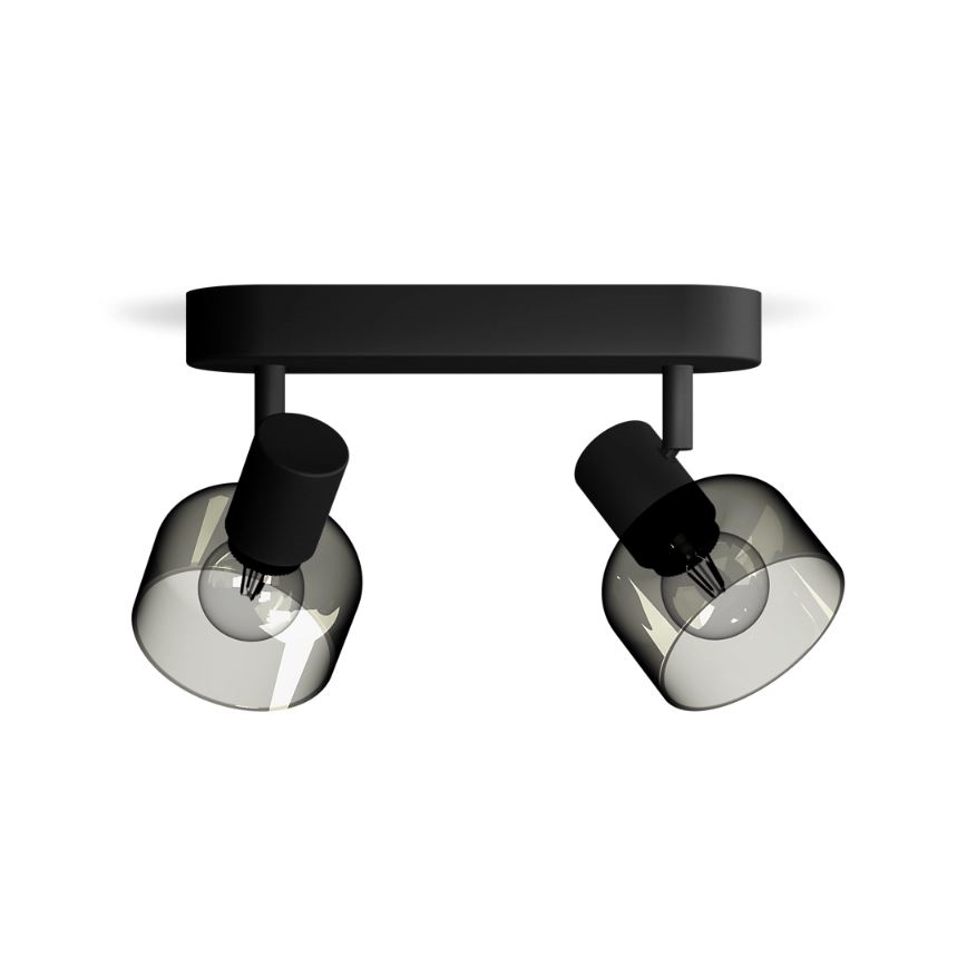 Philips - Starmetis SLEET 2xE14/25W/230V