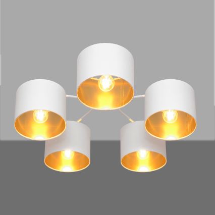 Pie virsmas stiprināma lustra ALBA 5xE27/15W/230V balta/zelta