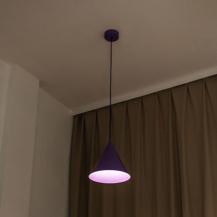Piekaramā lampa uz kabeļa ETNA II 1xE27/15W/230V Ø 25 cm violeta