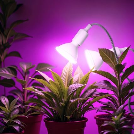 Pielāgojama galda lampa ar stiprinājumu augu audzēšanai PLANTY 2xE27/30W/230V balta
