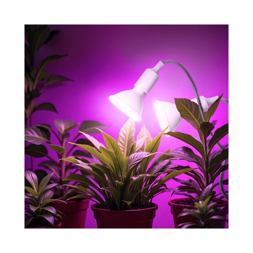 Pielāgojama galda lampa ar stiprinājumu augu audzēšanai PLANTY 2xE27/30W/230V balta